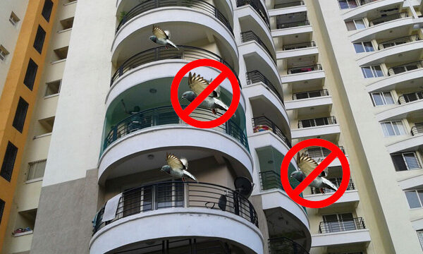 Pigeon Safety Nets for Balconies in Pune, Call 9075095557 for Best Quality Nets