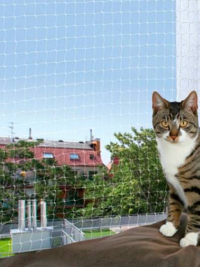 Pets Safety Nets for Balconies in Pune.